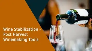 Wine Stabilization - Post harvest winemaking tools