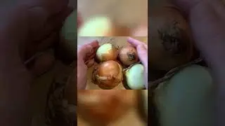 So beginnt jedes echte Gulasch &ndash; mit einem Berg Zwiebeln und hei&szlig;em Fett!🔥