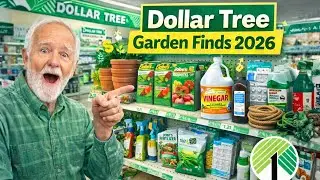 10 садовых находок из магазина Dollar Tree, которые действительно работают (2026 год и далее)
