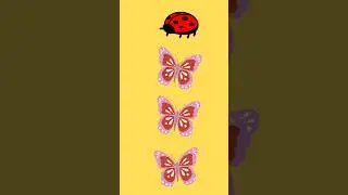 Odd one out| Circle the Odd Object Out | Fun Brain Game for Kids | #shorts #game #quiz #ytshorts