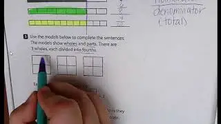 Equivalent Fraction Visual Models