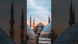 Ad-Duha🌸 #shorts #youtubeshorts #islamic #foryou #viral #islamicstatus #trendingnow #hadith #adduha