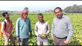 Divij Calplus