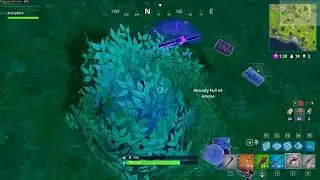 This is what early fortnite looked like.