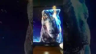rexy e blue vs ember