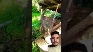 Traditional Water-Powered Flour Mill of Nepal - The old Heritage #nepal #traditional #panighatta
