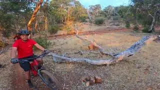 Fully Finger Trail Byford