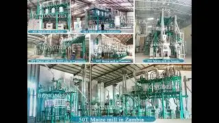 Maize & Wheat Flour Milling Machine with Silos - Complete Turnkey Plant by HONGDEFA