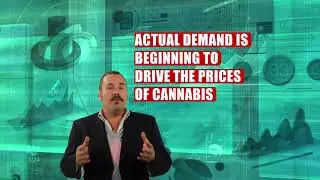 Marijuana Trades like any Commodity Observing Supply and Demand