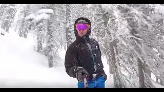 Deer Valley Trails: Centennial Trees