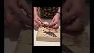 This is the craft nobody can ignore