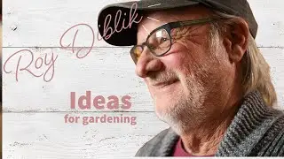 'DREAMS BEGINNING'  -  PLANT PATTERNS HAVING A GOOD START  Episode #94