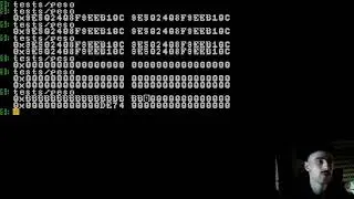 Memory allocation but it's Perl5