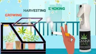 Canna Safe No Odor : Spray Cattura Odore Fumo Sigaretta Cannabis | Boooh.it