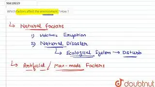 Which factors affect the environment ? How ?  | CLASS 10 | CHARACTERISTICS/PROPERTIES USES/ADVAN...