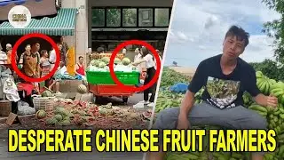 Fruits aren&rsquo;t selling. Chinese farmers suffer big losses.