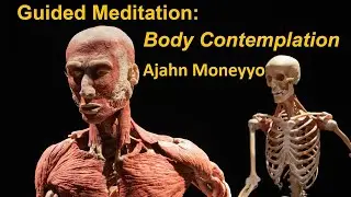GUIDED MEDITATION: Mindfulness of the Body: 32 Parts, 9 Cemetery Reflection | Ajahn Moneyyo | Asubha