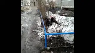 Vine (6sec)