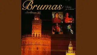 Sueña y Volarás