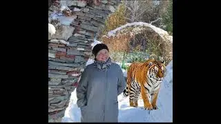 коллаж #оживлениефото #живыефотографии #photoanimation #оживиФото #aftereffects #futuretech