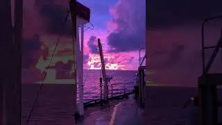 Have you ever seen a pink ocean? 🌊💖 #PinkOcean #NatureVibes #DreamyViews #OceanMagic