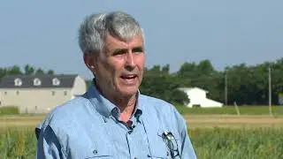 An App to Help Manage Aphids?