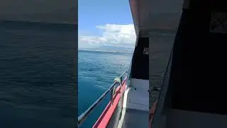 Little Trip to Benidorm Island. Fish 🐠 Vision Submarin boat Costa Blanca Spain.