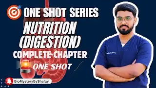 HOLOZOIC NUTRITION I DIGESTION I ONE SHOT LECTURE I COMPLETE CHAPTER BY DR. MUHAMMAD SHAFAY