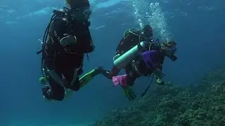 WE CAN! Divers On Wheels - Handicapped Divers