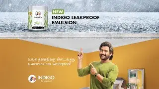 Indigo Paints Leak Proof Emulsion Tamil