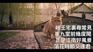 #重逢 #杜甫 #江南逢李龜年 這首詩藏著整個盛唐。 🌸 落花時節又逢君：最美的重逢，往往是在繁華之後。Meeting you again when the petals fall.