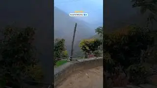 🥶🏔️🌨️🌨️ #viral #mountains #ukhills #travel #trending #snowfall #uttakhandi #vlog #shortvideos