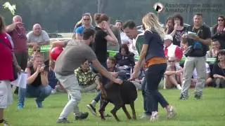 AIAD Campionato Sociale di Allevamento 2016