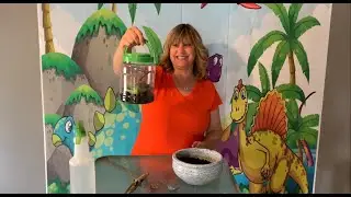 Snail Habitats