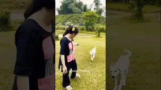 When you are animal lover🐶 #animallovers #dogshorts #labubu