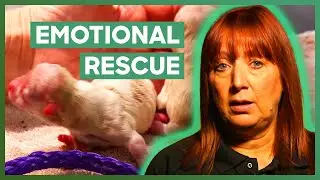 These Animal Cops Make Some Disturbing Discoveries😢 | Animal Cops: Houston | Love Animals