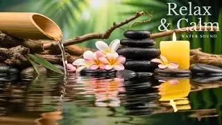 Bamboo Water Fountain 24/7 🎶 自然の音とともに音楽をリラックス バンブーウォーターファウンテン