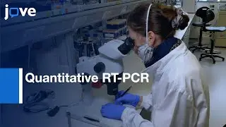 Quantitative RT-PCR of Nanofluidic Samples | Protocol Preview