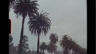 Blssom - Alma Paraiso (Official Video)