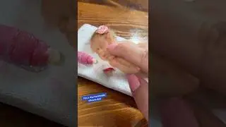 Squishing Tiny Silicone Baby Doll