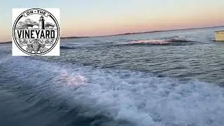 Martha's Vineyard Airport Expansion Set to Take Off  and a Silent Disco Rocks Out on the Beach