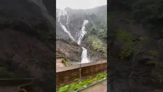 Goa Karnataka Border 💚  #goa #karnataka #indianrailways #dudhsagarwaterfalls #travel #monsoon