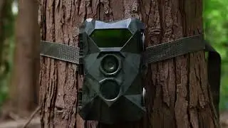 Coolife | Trail Camera H953 | Shooting show