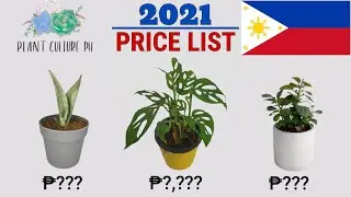 HOUSE PLANT PRICE LIST PHILIPPINES 2021