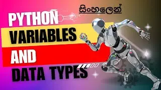 Python සිංහලෙන් - Lesson 06 | Mastering Variables and Data Types #sinhala #ProgramXplorersinhala