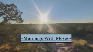 Mornings With Moses ~ Live Intentionally