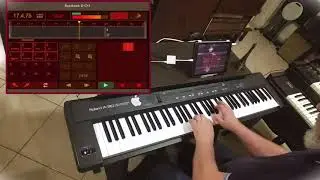 &ldquo;La vie en rose&rdquo; app BeatHawk HQ (iPad5 - Z&eacute; Os&oacute;rio)