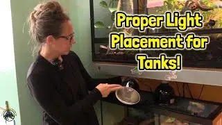 TDI's Quick Tips & Tricks! How to Properly Place Your Heat and UVB Lamps on Your Pet Reptile's Tank!