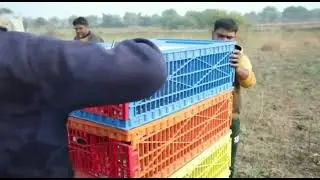 🐦Pigeon Recing PPMA Pune Club 2021 to 2022🐦