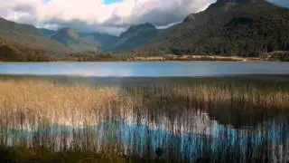 PARQUE NACIONAL TOLHUACA - REGION DE LA ARAUCANIA